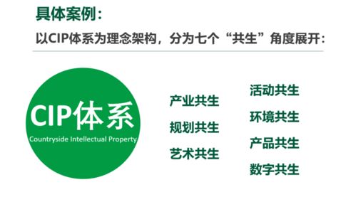 文化創意賦能鄉村振興 IP體系構建與數字文創內容應用服務的實踐探索——以孫美華案例為視角
